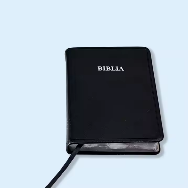 Wholesale Factory Direct Custom Color Printing Bible Book